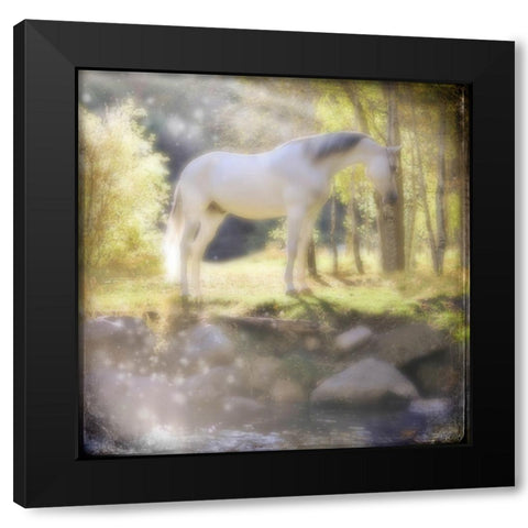 Your My Prince Black Modern Wood Framed Art Print with Double Matting by LightBoxJournal