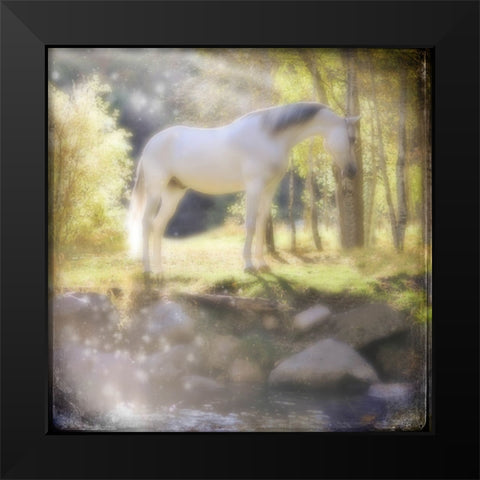 Your My Prince Black Modern Wood Framed Art Print by LightBoxJournal