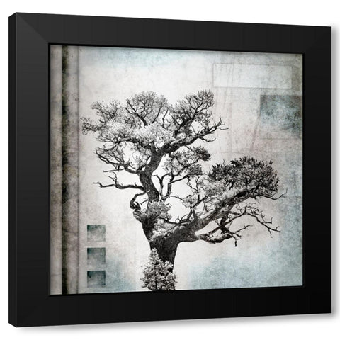 August Tree 4 Black Modern Wood Framed Art Print by LightBoxJournal
