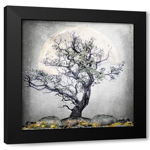 August Tree 5 Black Modern Wood Framed Art Print with Double Matting by LightBoxJournal