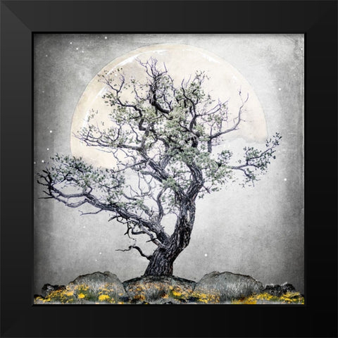 August Tree 5 Black Modern Wood Framed Art Print by LightBoxJournal