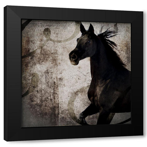 GypsyHorse Collection V1 1 Black Modern Wood Framed Art Print with Double Matting by LightBoxJournal