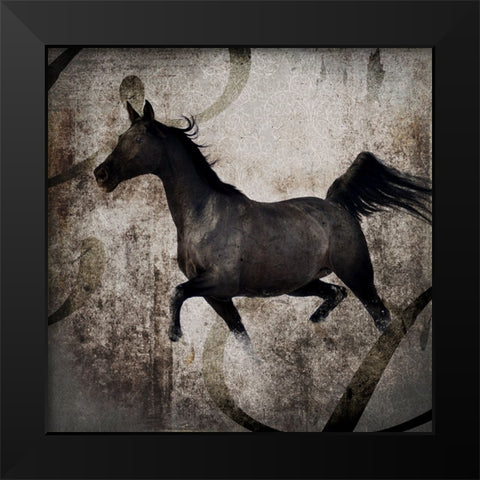 GypsyHorse Collection V1 2 Black Modern Wood Framed Art Print by LightBoxJournal