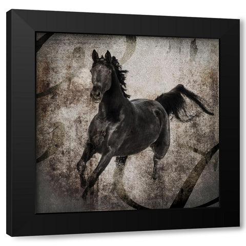 GypsyHorse Collection V1 3 Black Modern Wood Framed Art Print with Double Matting by LightBoxJournal