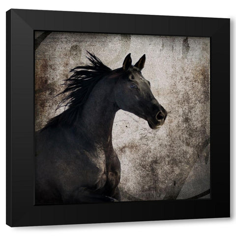 GypsyHorse Collection V1 4 Black Modern Wood Framed Art Print with Double Matting by LightBoxJournal