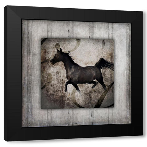 GypsyHorse Collection V1 7 Black Modern Wood Framed Art Print with Double Matting by LightBoxJournal