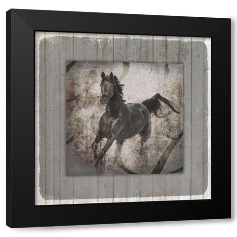 GypsyHorse Collection V1 11 Black Modern Wood Framed Art Print with Double Matting by LightBoxJournal