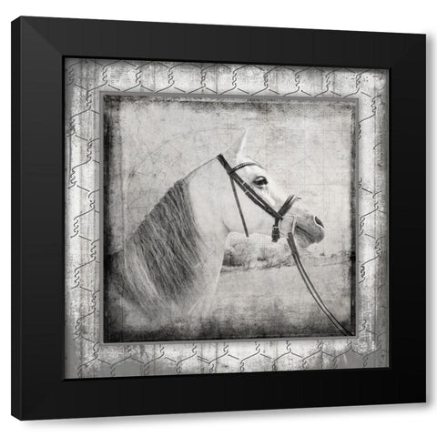 MyFarmMyWay V6 1 Black Modern Wood Framed Art Print with Double Matting by LightBoxJournal