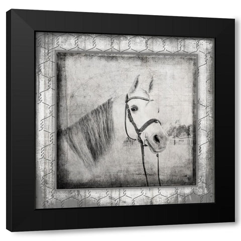 MyFarmMyWay V6 2 Black Modern Wood Framed Art Print by LightBoxJournal