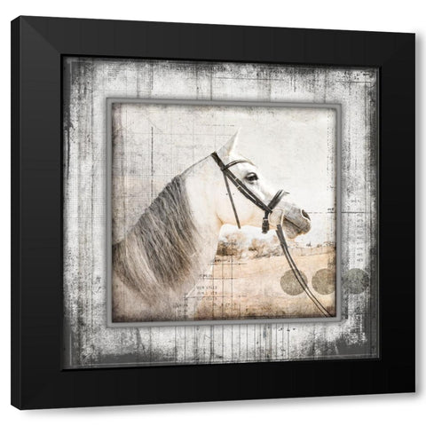 MyFarmMyWay V6 4 Black Modern Wood Framed Art Print with Double Matting by LightBoxJournal