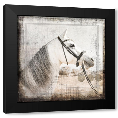 MyFarmMyWay V6 5 Black Modern Wood Framed Art Print with Double Matting by LightBoxJournal