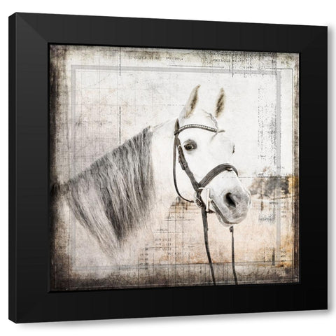 MyFarmMyWay V6 6 Black Modern Wood Framed Art Print with Double Matting by LightBoxJournal