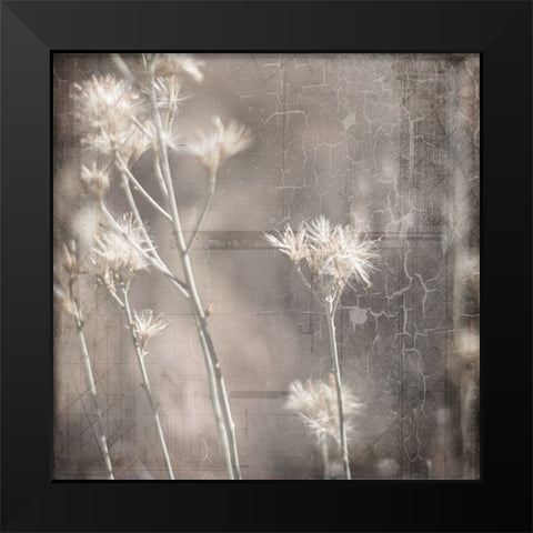 MyFarmMyWayPhotos 7 Black Modern Wood Framed Art Print by LightBoxJournal