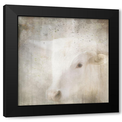Antique Farm 04 Black Modern Wood Framed Art Print by LightBoxJournal