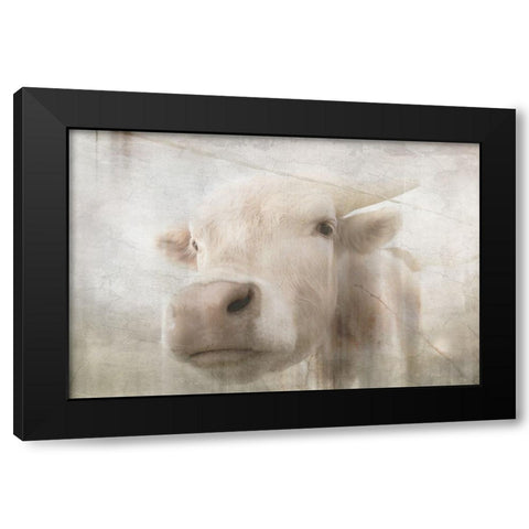 Antique Farm 18 Black Modern Wood Framed Art Print with Double Matting by LightBoxJournal