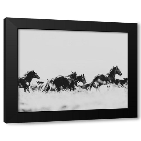 Wild Horses of the Great Basin 00 Black Modern Wood Framed Art Print with Double Matting by LightBoxJournal