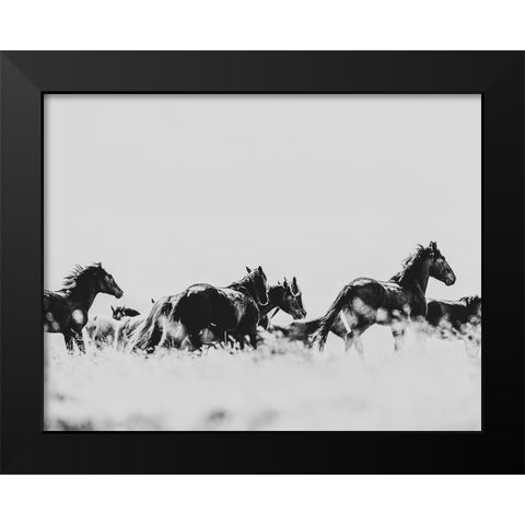 Wild Horses of the Great Basin 00 Black Modern Wood Framed Art Print by LightBoxJournal