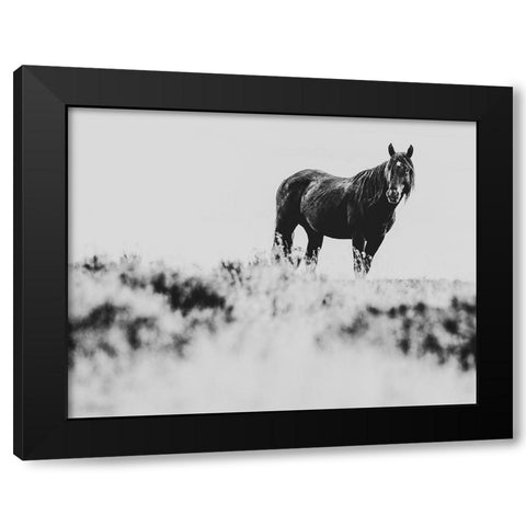 Wild Horses of the Great Basin 01 Black Modern Wood Framed Art Print with Double Matting by LightBoxJournal