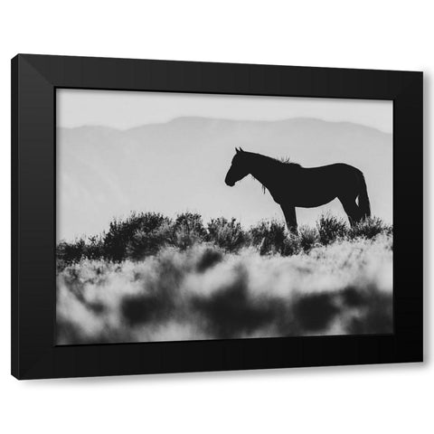 Wild Horses of the Great Basin 02 Black Modern Wood Framed Art Print with Double Matting by LightBoxJournal