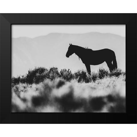 Wild Horses of the Great Basin 02 Black Modern Wood Framed Art Print by LightBoxJournal