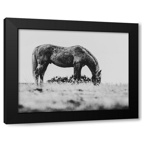 Wild Horses of the Great Basin 03 Black Modern Wood Framed Art Print with Double Matting by LightBoxJournal