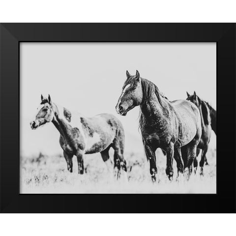Wild Horses of the Great Basin 04 Black Modern Wood Framed Art Print by LightBoxJournal