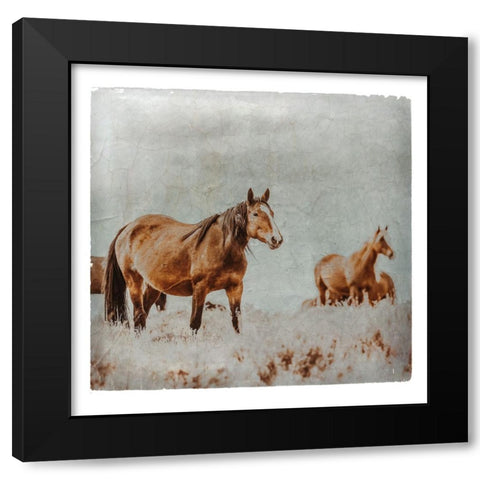 Wild Horses of the Great Basin Lomography 01 Black Modern Wood Framed Art Print with Double Matting by LightBoxJournal