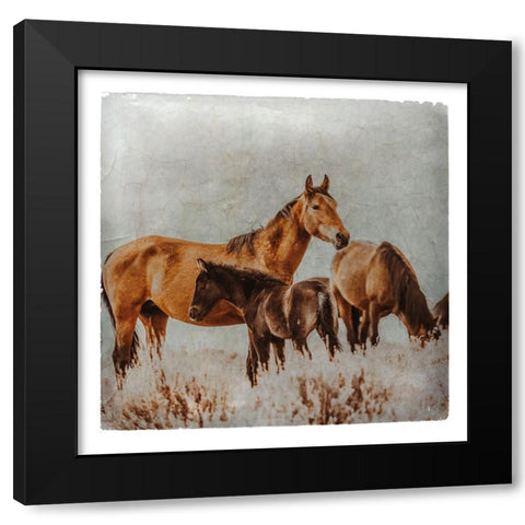 Wild Horses of the Great Basin Lomography 02 Black Modern Wood Framed Art Print with Double Matting by LightBoxJournal