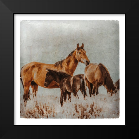 Wild Horses of the Great Basin Lomography 02 Black Modern Wood Framed Art Print by LightBoxJournal