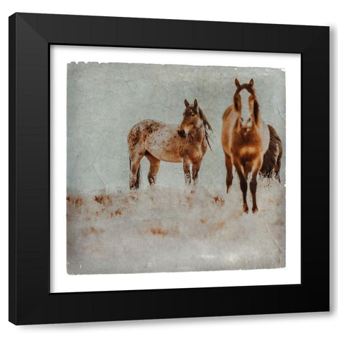 Wild Horses of the Great Basin Lomography 03 Black Modern Wood Framed Art Print with Double Matting by LightBoxJournal