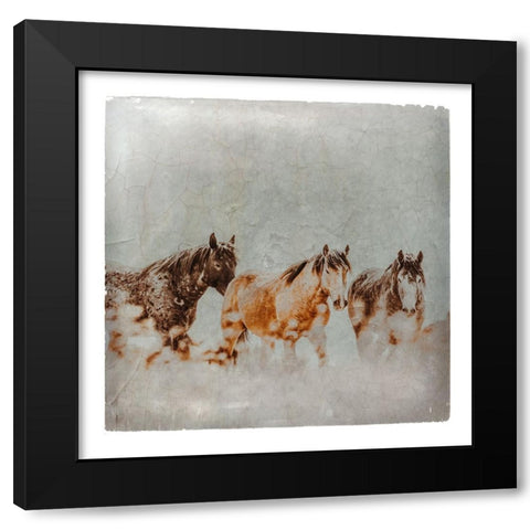 Wild Horses of the Great Basin Lomography 04 Black Modern Wood Framed Art Print with Double Matting by LightBoxJournal