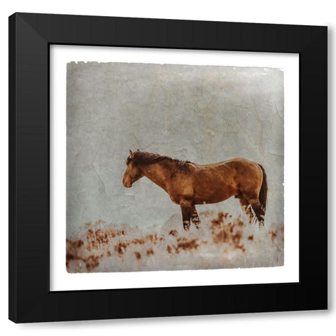 Wild Horses of the Great Basin Lomography 05 Black Modern Wood Framed Art Print with Double Matting by LightBoxJournal