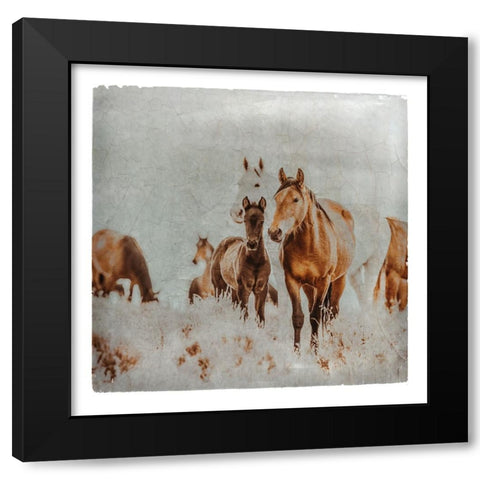 Wild Horses of the Great Basin Lomography 06 Black Modern Wood Framed Art Print with Double Matting by LightBoxJournal
