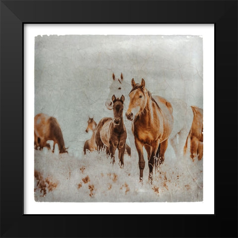 Wild Horses of the Great Basin Lomography 06 Black Modern Wood Framed Art Print by LightBoxJournal