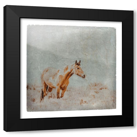 Wild Horses of the Great Basin Lomography 07 Black Modern Wood Framed Art Print with Double Matting by LightBoxJournal