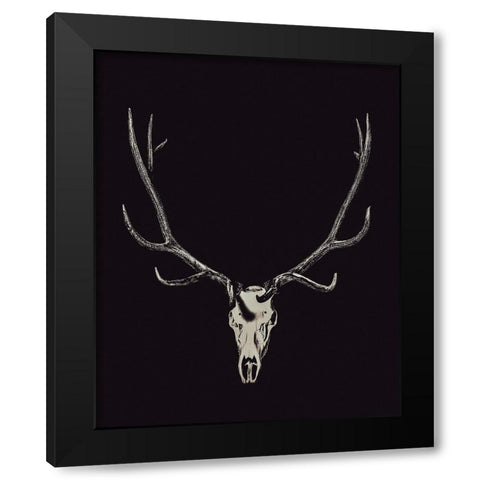 The Rustic Antler 02 Black Modern Wood Framed Art Print with Double Matting by LightBoxJournal