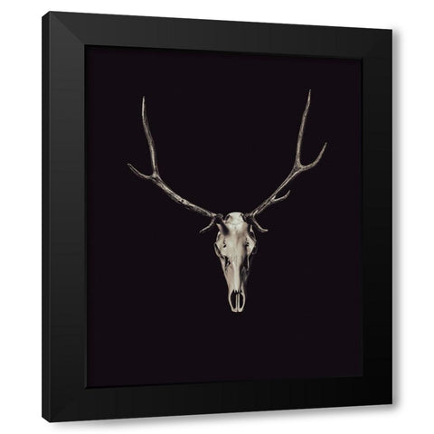 The Rustic Antler 03 Black Modern Wood Framed Art Print with Double Matting by LightBoxJournal
