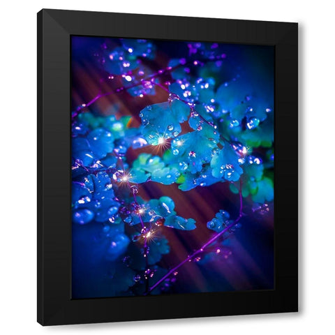 IMG_7586 Black Modern Wood Framed Art Print by Love Grams