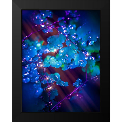 IMG_7586 Black Modern Wood Framed Art Print by Love Grams
