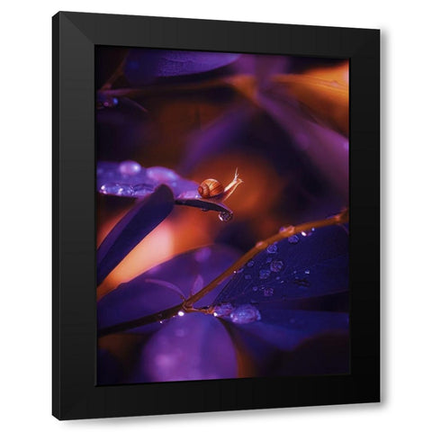IMG_7588 Black Modern Wood Framed Art Print by Love Grams