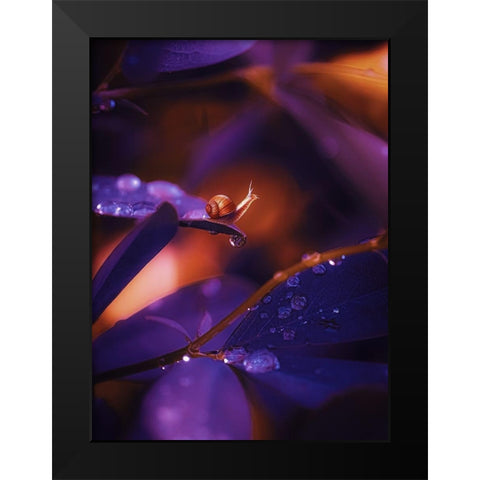 IMG_7588 Black Modern Wood Framed Art Print by Love Grams