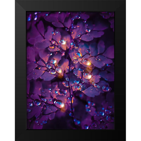 IMG_7591 Black Modern Wood Framed Art Print by Love Grams