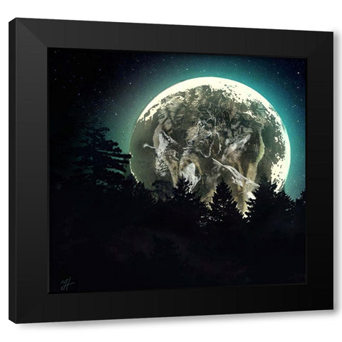 Moon Howl Black Modern Wood Framed Art Print with Double Matting by Murray Henderson Fine Art