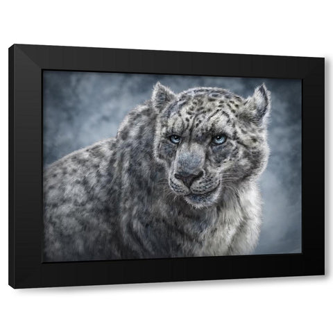 Snow Leopard Totem Black Modern Wood Framed Art Print with Double Matting by LaMontagne, Patrick