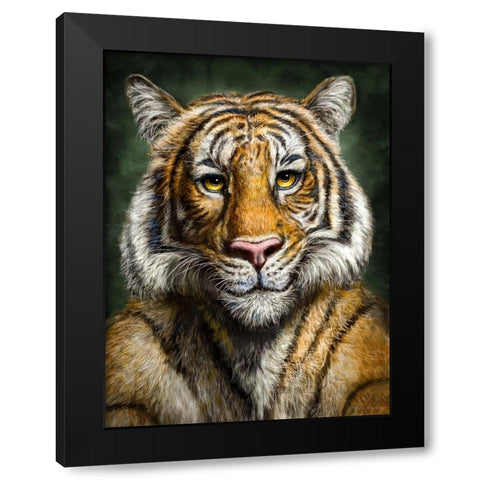 Tiger Totem Black Modern Wood Framed Art Print with Double Matting by LaMontagne, Patrick