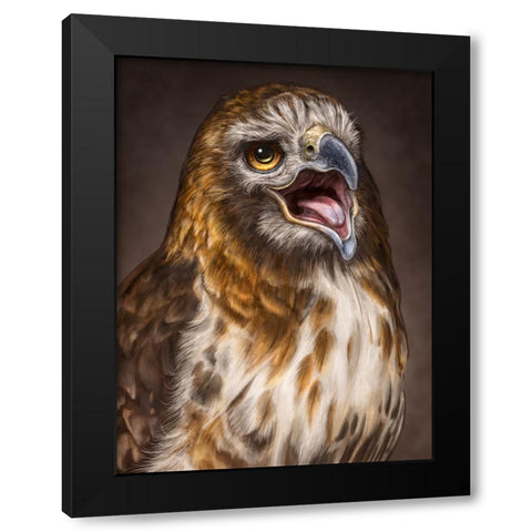 Red Tailed Hawk Black Modern Wood Framed Art Print with Double Matting by LaMontagne, Patrick