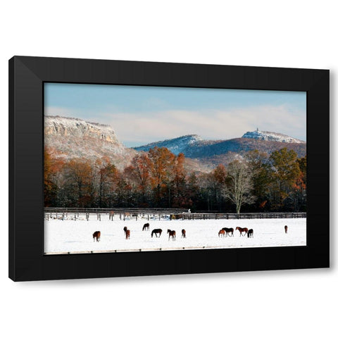 Early Snow Horse Paddock Black Modern Wood Framed Art Print with Double Matting by Goldwitz, Robert