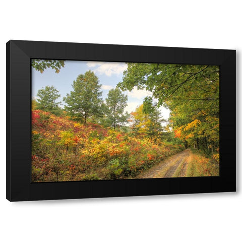 Autumn Path Black Modern Wood Framed Art Print by Goldwitz, Robert
