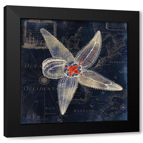Maritime Blues IV Black Modern Wood Framed Art Print with Double Matting by Sasha