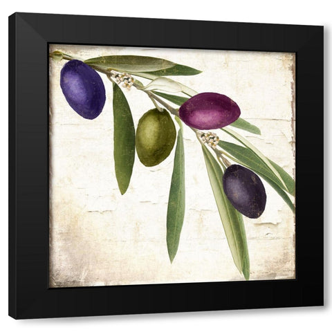Olive Branch IV Black Modern Wood Framed Art Print by Sasha